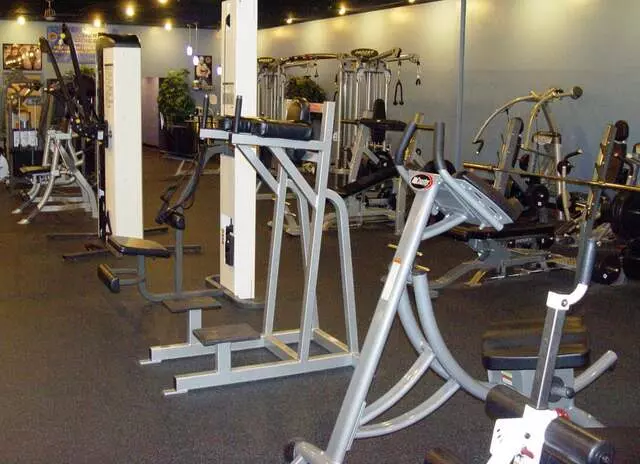 Designer Bodies &apos;World Class Gym&apos;