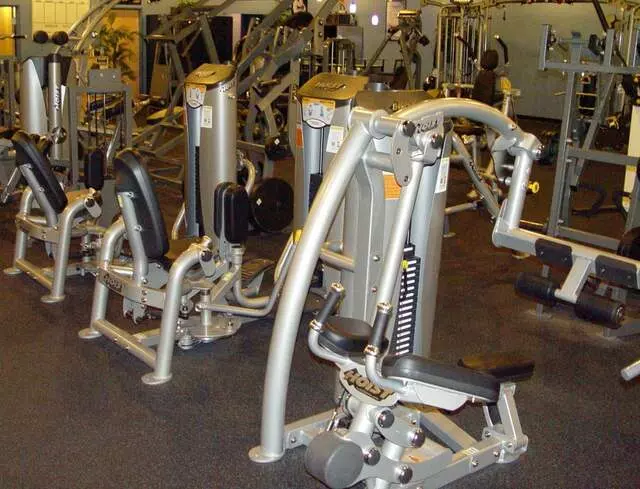 Designer Bodies &apos;World Class Gym&apos;