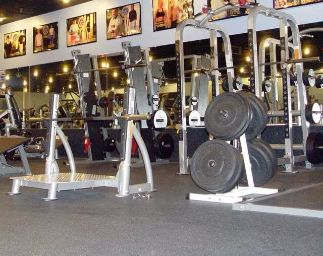 Designer Bodies &apos;World Class Gym&apos;