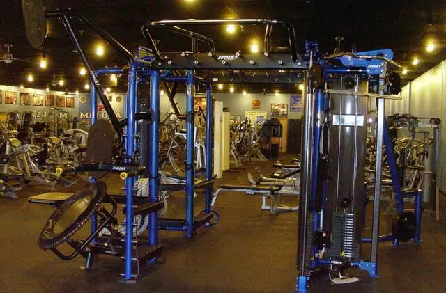 Designer Bodies &apos;World Class Gym&apos;