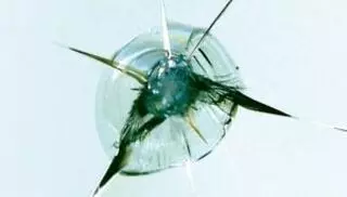 Star Superglass Windshield Repair