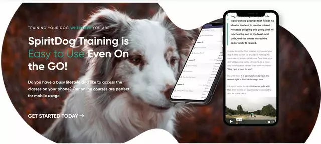 SpiritDog Training