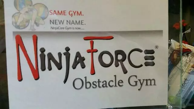 NinjaForce