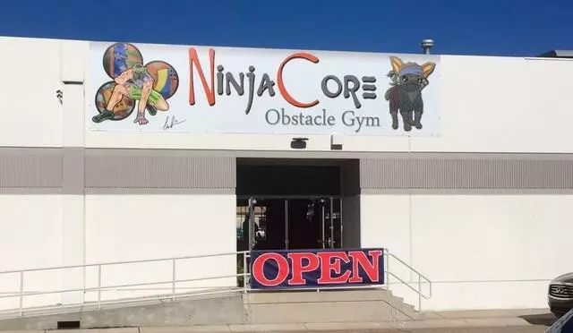 NinjaForce