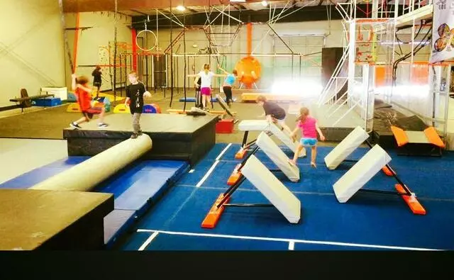 NinjaForce