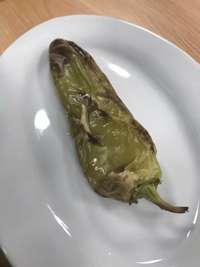 Anatolia Kebab