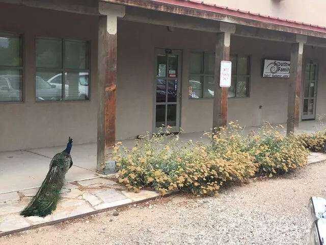 Southwest Family Guidance Center