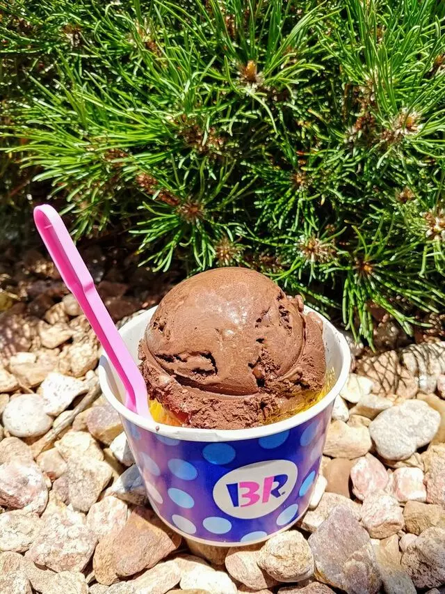 Baskin-Robbins