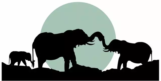 Age To Age Counseling
