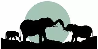 Age To Age Counseling