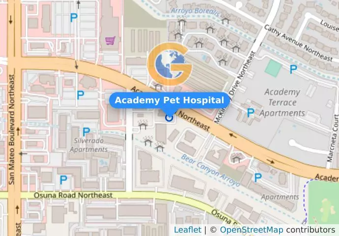 Academy Pet Hospital