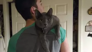 Xpectmore Petcare