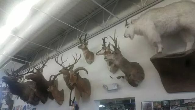 Archery Shoppe