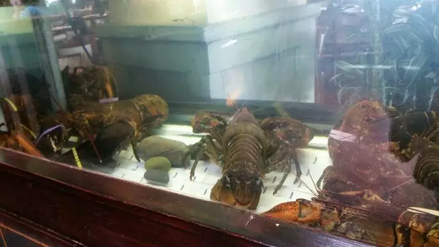 Pappadeaux Seafood Kitchen