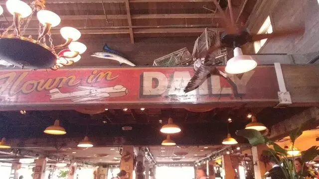 Pappadeaux Seafood Kitchen