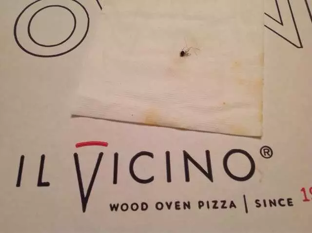 Il Vicino Wood Oven Pizza