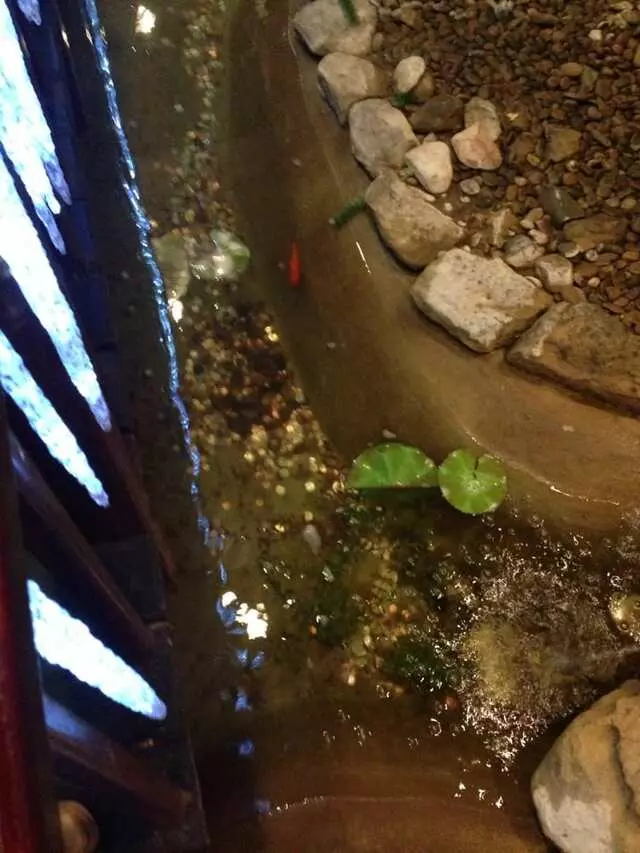 Samurai Grill & Sushi Bar