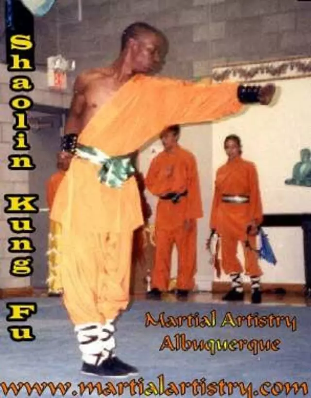 Martial Artistry