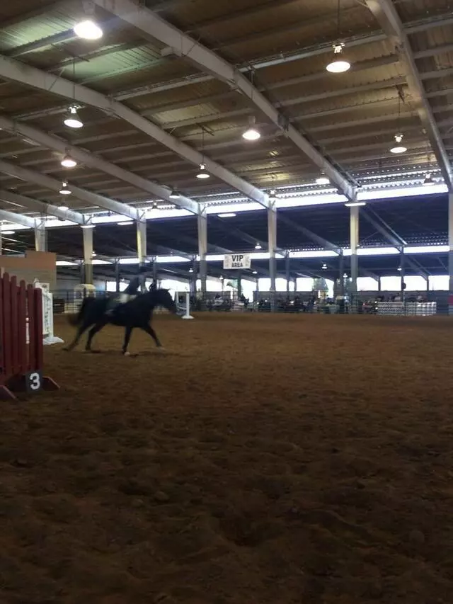 Albuquerque Equestrian Cup