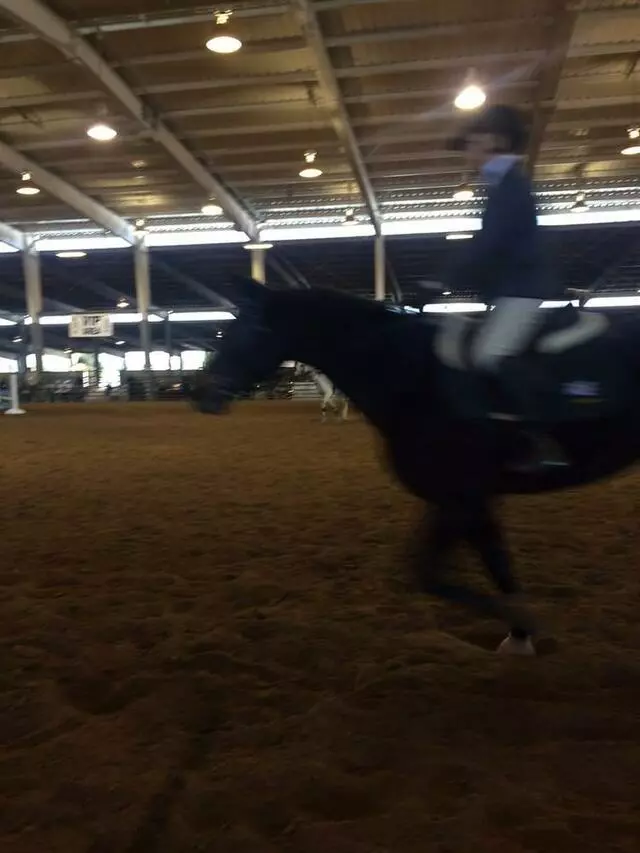 Albuquerque Equestrian Cup