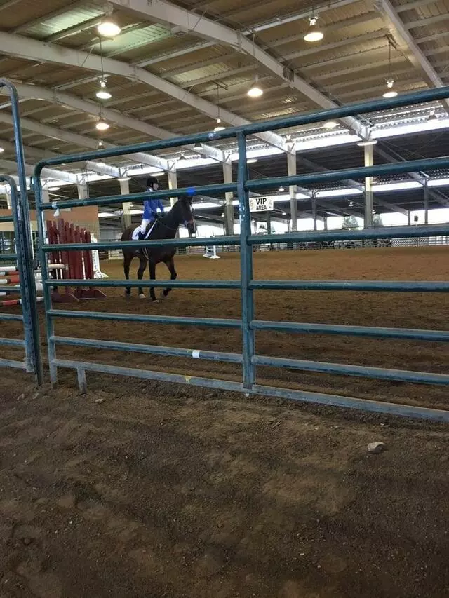 Albuquerque Equestrian Cup