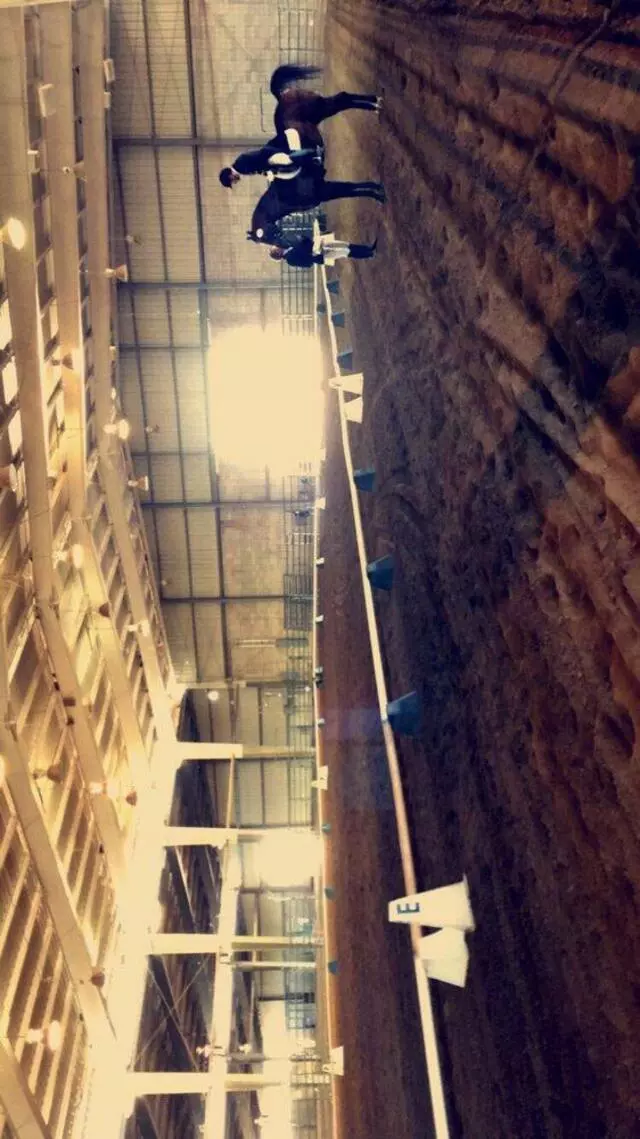 Albuquerque Equestrian Cup