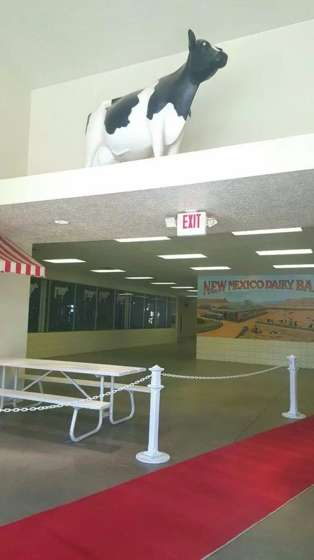 Albuquerque Equestrian Cup