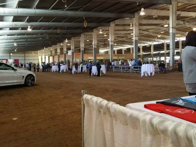 Albuquerque Equestrian Cup