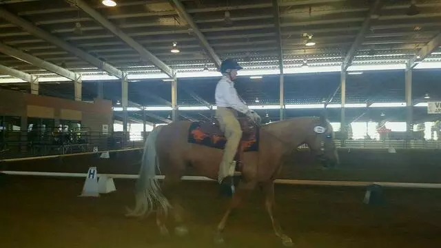 Albuquerque Equestrian Cup