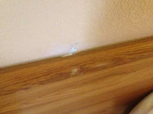 Americas Best Value Inn & Suites