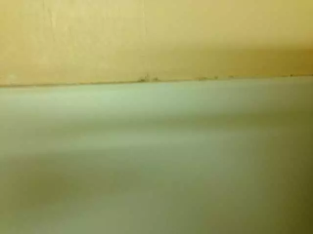 Americas Best Value Inn & Suites