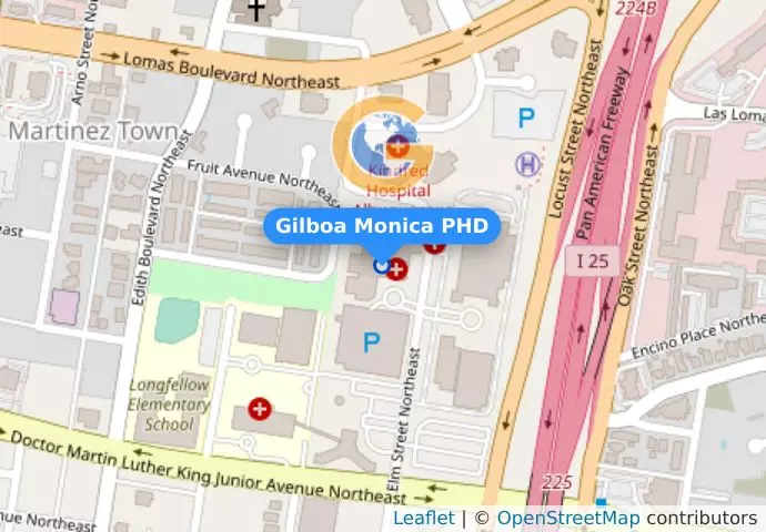 Gilboa Monica PHD