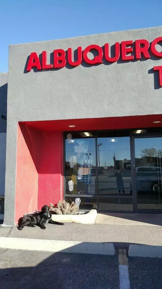 Albuquerque Tire