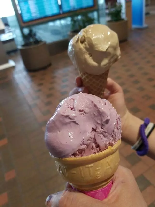Baskin-Robbins
