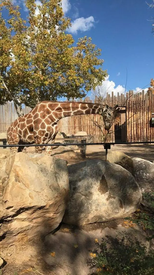 ABQ BioPark Zoo