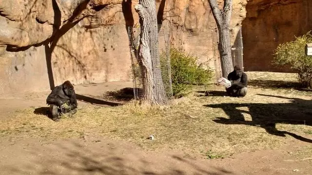 ABQ BioPark Zoo