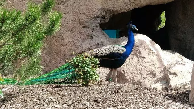 ABQ BioPark Zoo