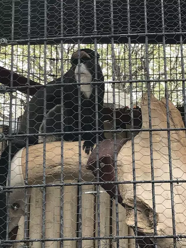 ABQ BioPark Zoo