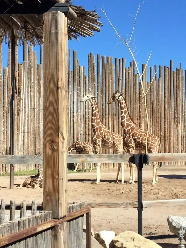 ABQ BioPark Zoo