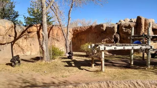 ABQ BioPark Zoo