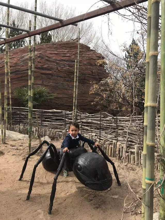 ABQ BioPark Zoo