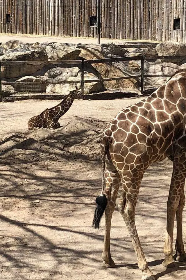 ABQ BioPark Zoo
