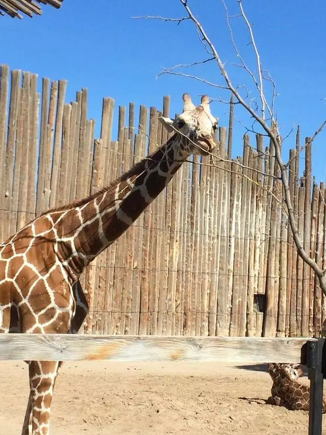 ABQ BioPark Zoo