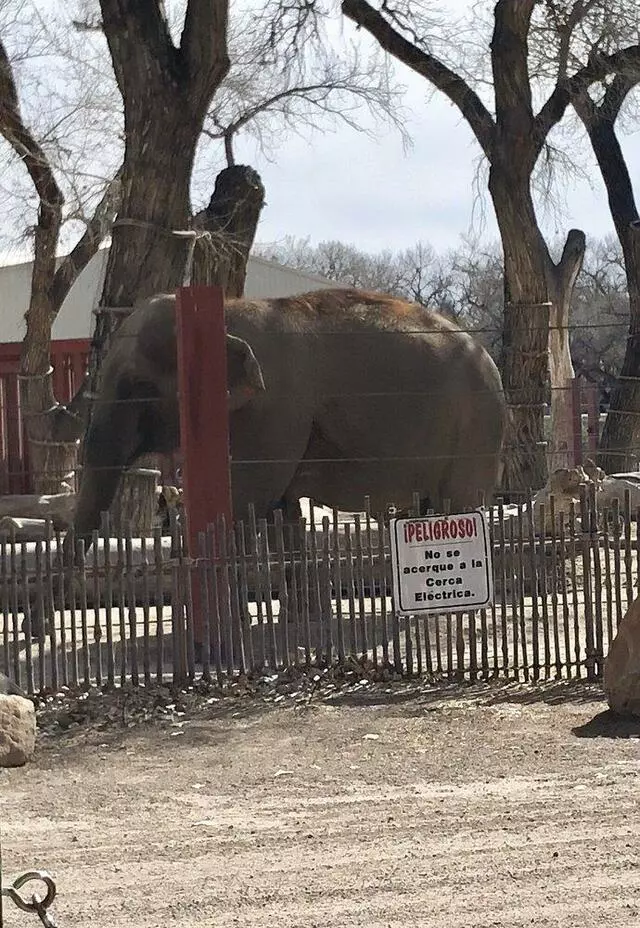 ABQ BioPark Zoo