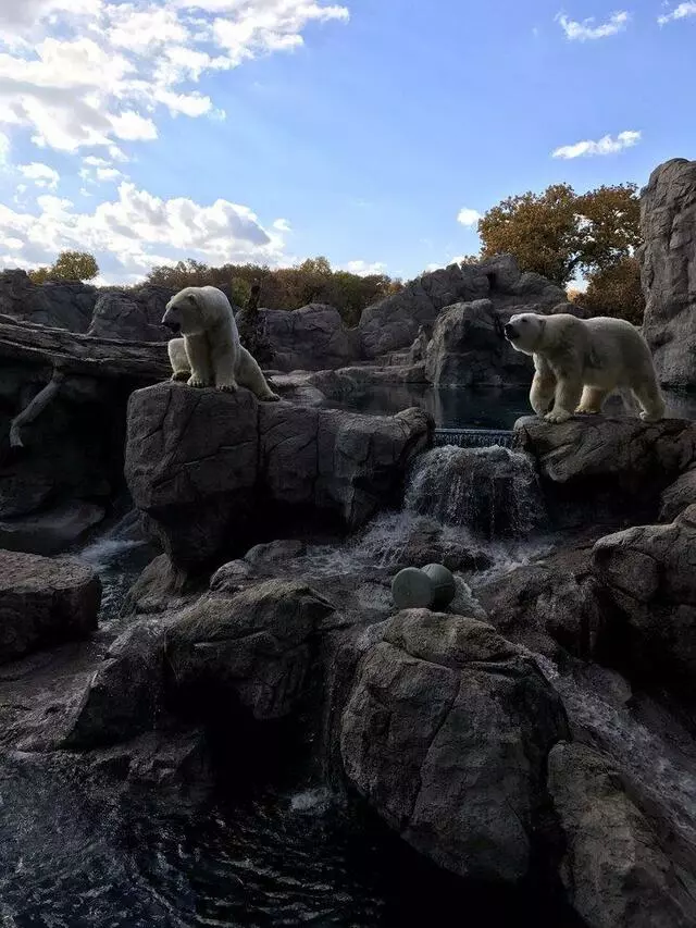 ABQ BioPark Zoo