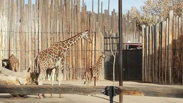 ABQ BioPark Zoo