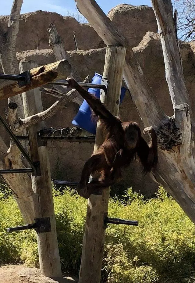 ABQ BioPark Zoo