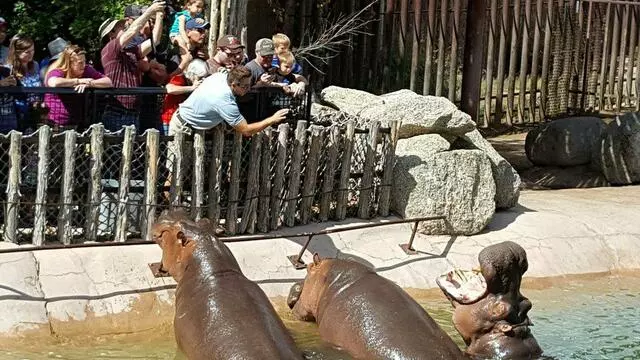 ABQ BioPark Zoo
