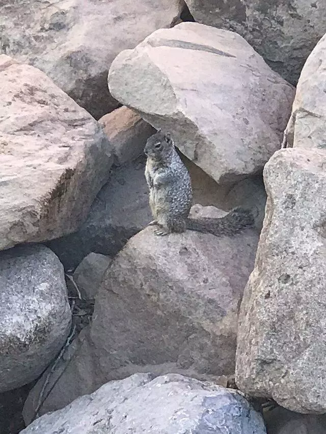 ABQ BioPark Zoo