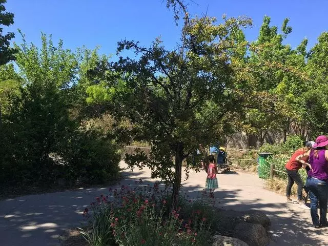 ABQ BioPark Zoo